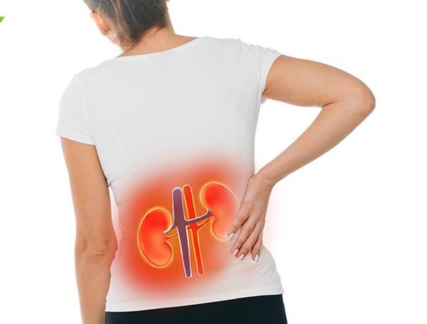 Bị Mệt Mỏi Kéo Dài Có Liên Quan Đến Thận Không?