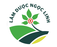 Đông Nam Dược Ngọc Linh – Tinh hoa y học cổ truyền, chăm sóc sức khỏe từ thảo dược