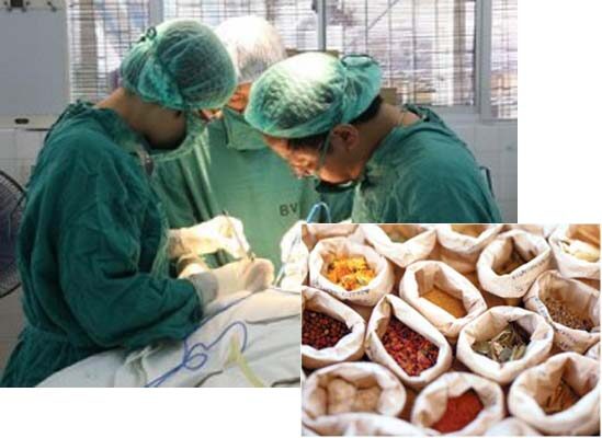 Nên Kết Hợp Đông Y Và Tây Y Như Thế Nào?