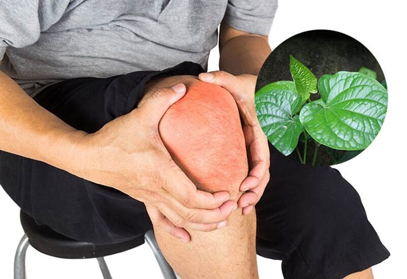 Người Cao Tuổi Nên Dùng Thuốc Gì Cho Xương Khớp?