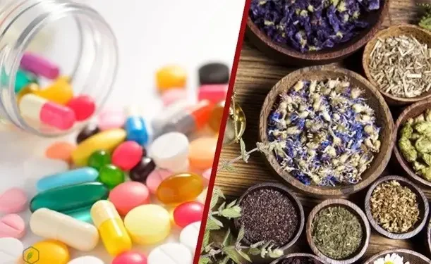 Người Cao Tuổi Nên Dùng Thuốc Gì Cho Xương Khớp?