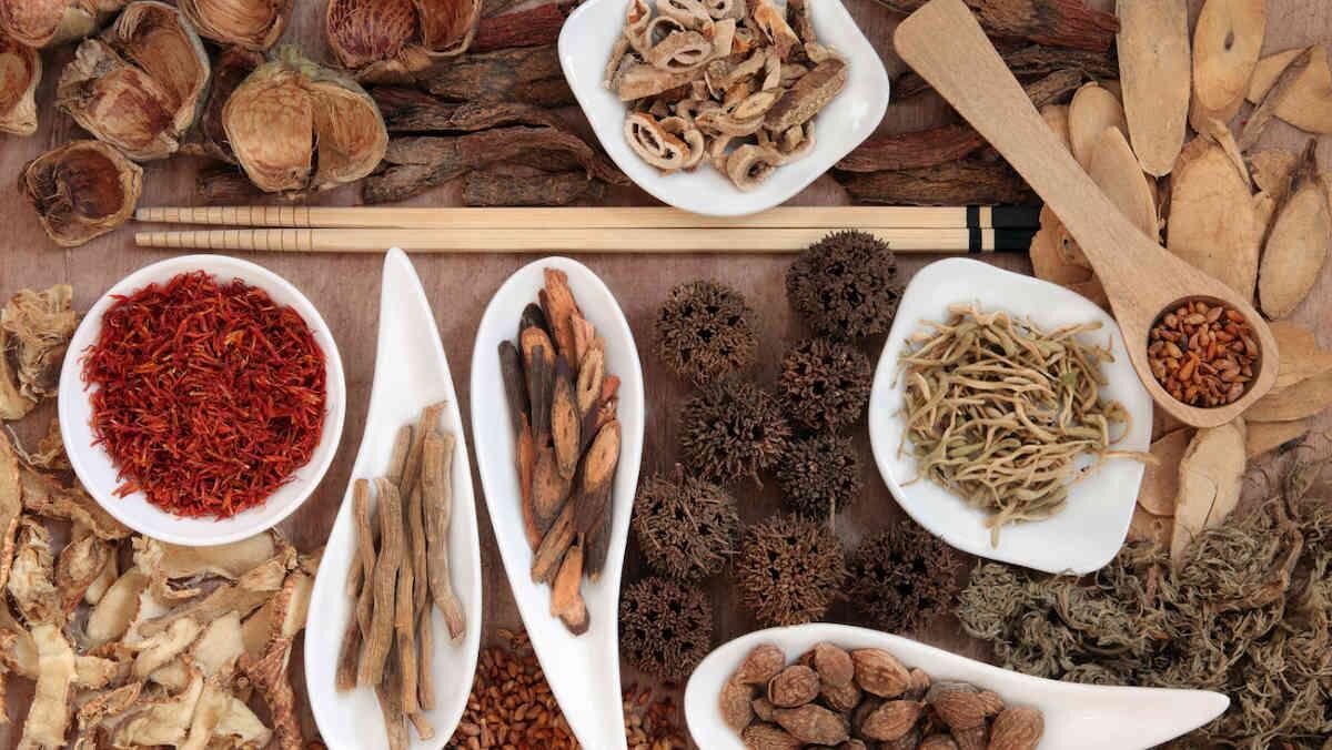 Uống Thuốc Đông Y Bao Lâu Thì Có Tác Dụng?
